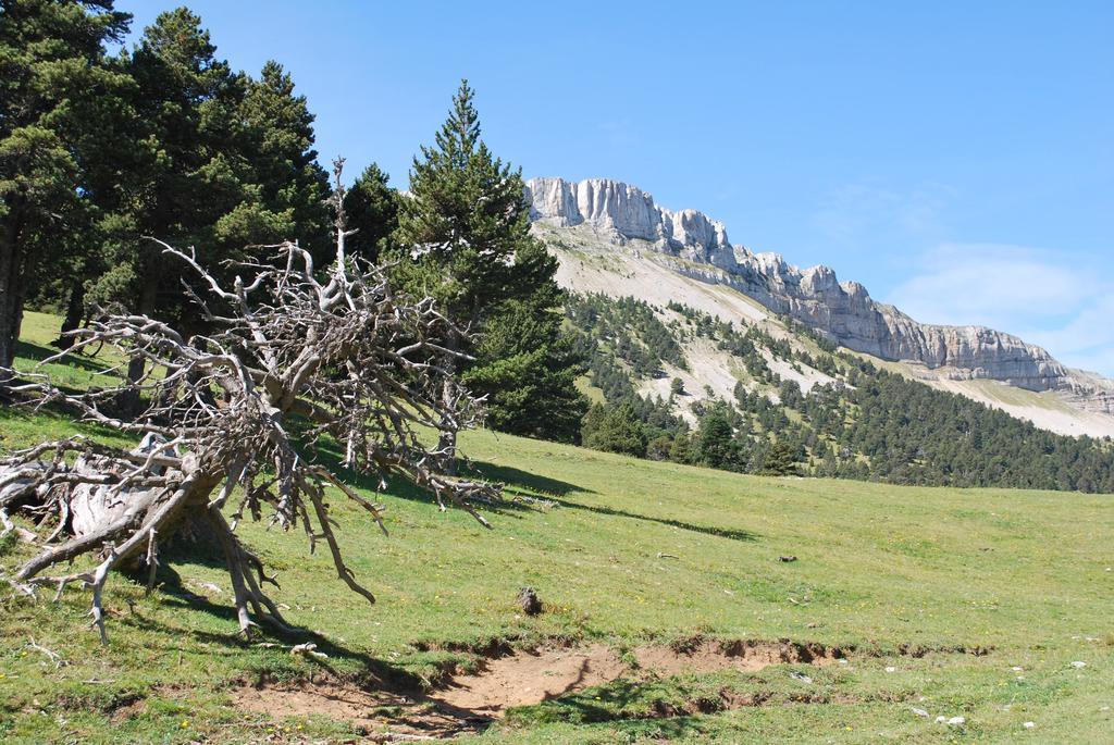 Le Sareymond Menée Exterior foto